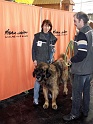 Heimtiermesse 2009   085